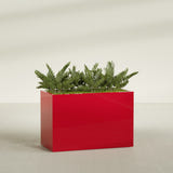 Brisbane Corner fiberglass planter in Gloss Red, shown planted, in a sunlit interior