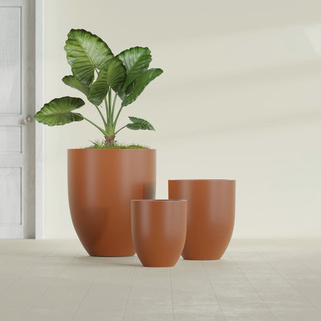 Valencia Tapered Round fiberglass planter in Matte Terra Cotta, size range, in a sunlit interior