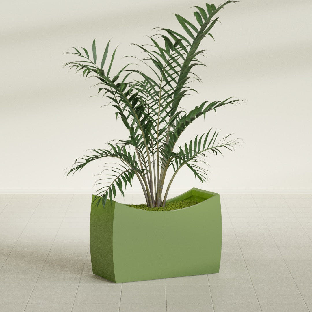 Seoul Curved fiberglass planter in Satin Green, shown planted, in a sunlit interior