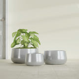 Short Hayden Bowl fiberglass planter in Metallic Silver, size range, in a sunlit interior