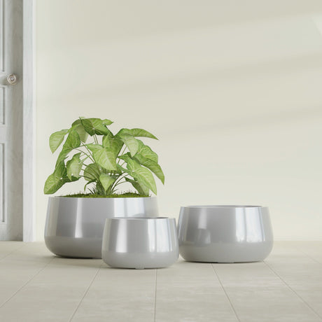 Short Hayden Bowl fiberglass planter in Metallic Silver, size range, in a sunlit interior