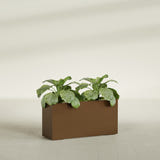 Miami Narrow Rectangular fiberglass planter in Metallic Bronze, shown planted, in a sunlit interior