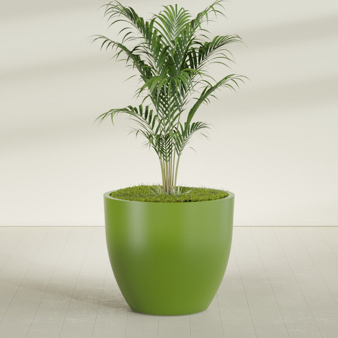 Wannsee Round fiberglass planter in Satin Green, shown planted, in a sunlit interior