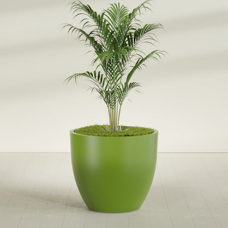 Wannsee Round fiberglass planter in Satin Green, shown planted, in a sunlit interior