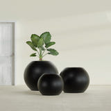 Globe fiberglass planter in Matte Black, size range, in a sunlit interior