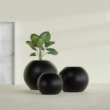 Globe fiberglass planter in Matte Black, size range, in a sunlit interior