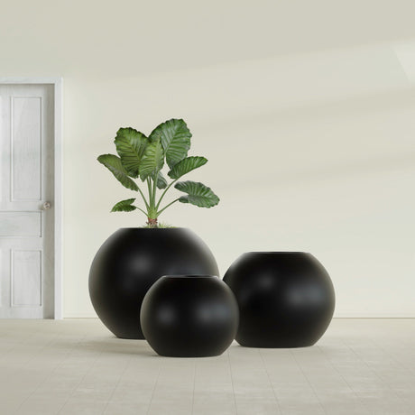 Globe fiberglass planter in Matte Black, size range, in a sunlit interior