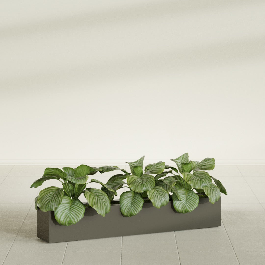 Salon Box fiberglass planter in Matte Bronze, shown planted, in a sunlit interior