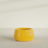 Short Hayden Bowl Planter in Gloss Saffron, 16"D × 8"H, shown empty
