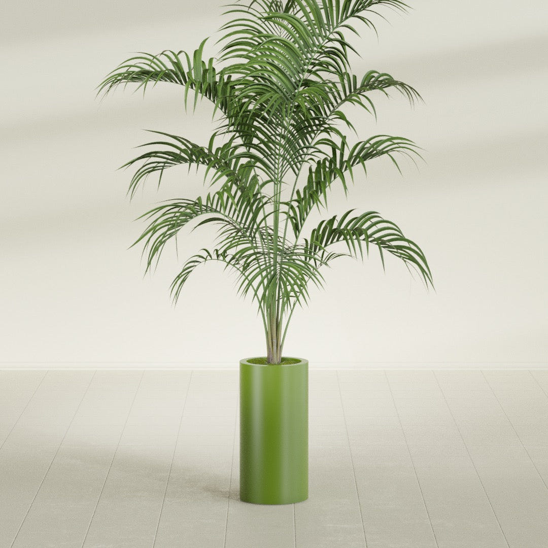 Corry Cylinder fiberglass planter in Satin Green, shown planted, in a sunlit interior