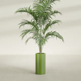 Corry Cylinder fiberglass planter in Satin Green, shown planted, in a sunlit interior