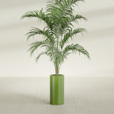 Corry Cylinder fiberglass planter in Satin Green, shown planted, in a sunlit interior