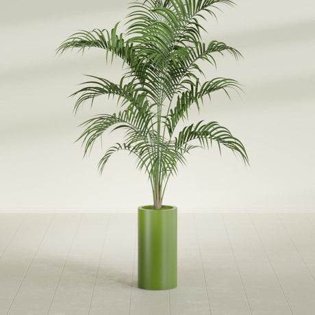 Corry Cylinder fiberglass planter in Satin Green, shown planted, in a sunlit interior
