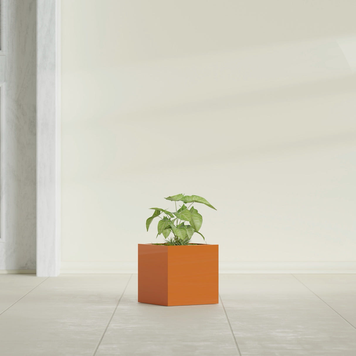 Monaco Cube fiberglass planter in Gloss Tangerine, shown planted, in a sunlit interior