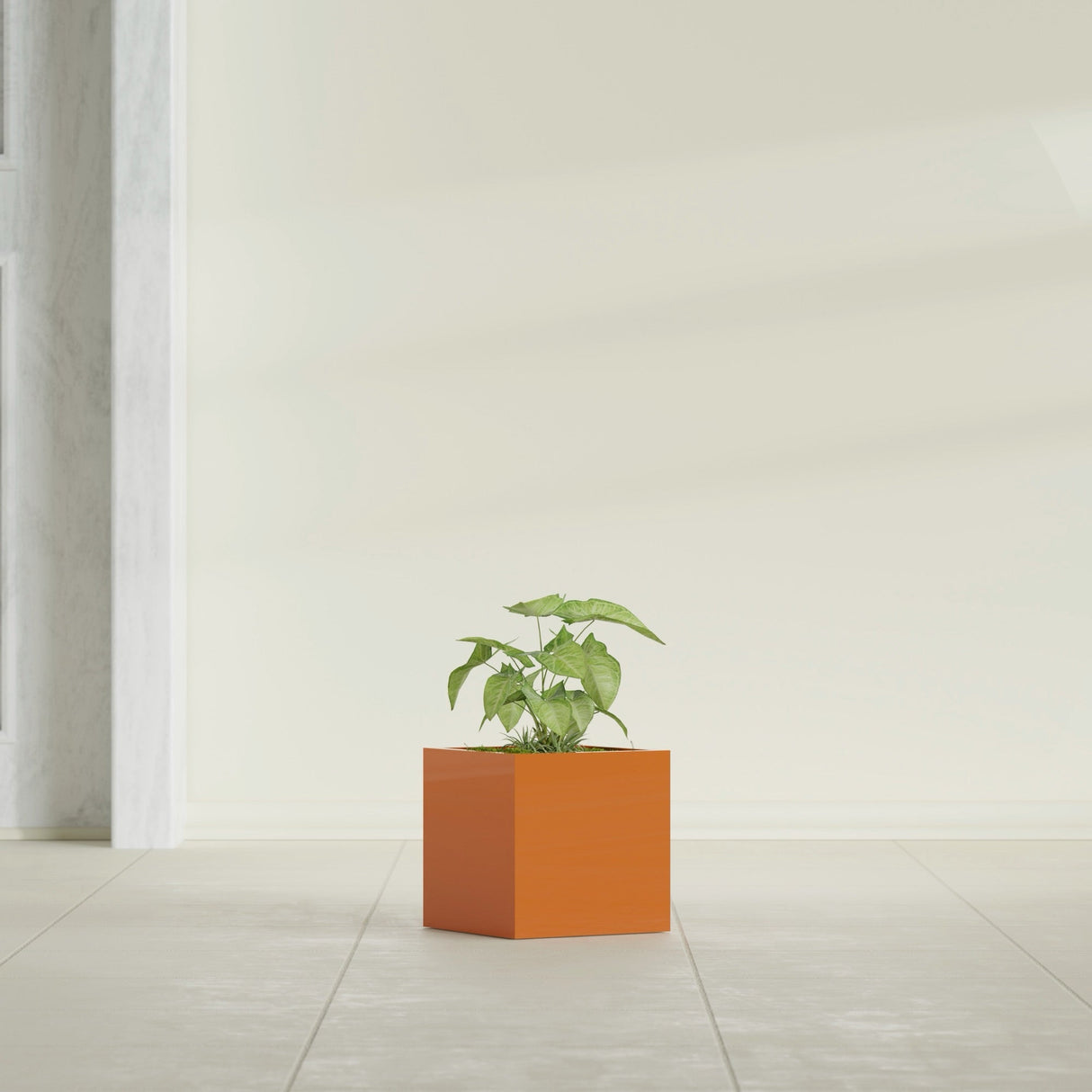 Monaco Cube fiberglass planter in Gloss Tangerine, shown planted, in a sunlit interior