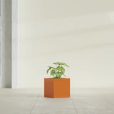 Monaco Cube fiberglass planter in Gloss Tangerine, shown planted, in a sunlit interior