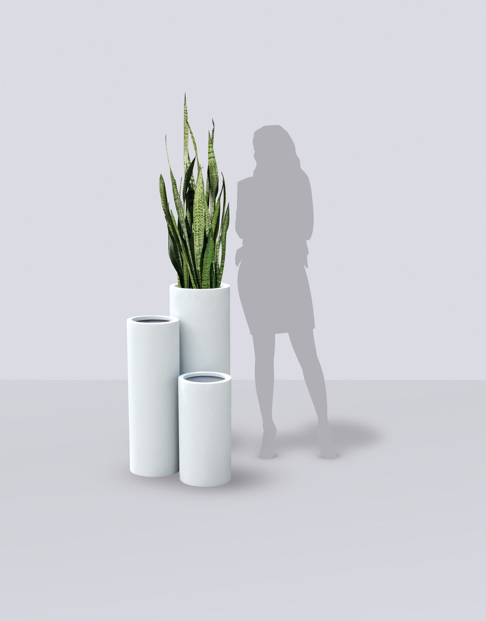 Corry Cylinder fiberglass planter size range shown to scale beside a standing figure