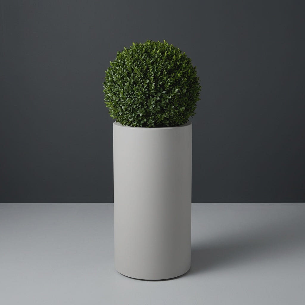 Corry Cylinder fiberglass planter in Matte Cement Grey, planted with clipped boxwood ball, studio
