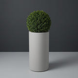 Corry Cylinder fiberglass planter in Matte Cement Grey, planted with clipped boxwood ball, studio