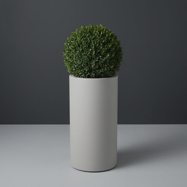 Corry Cylinder fiberglass planter in Matte Cement Grey, planted with clipped boxwood ball, studio