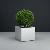 Cuba Corner fiberglass planter in Metallic Silver, planted with clipped boxwood ball on a short trunk, studio