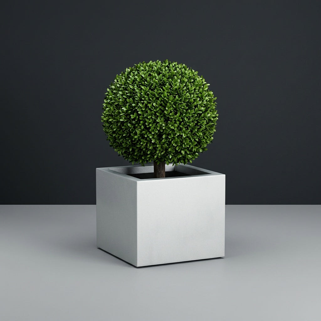 Cuba Corner fiberglass planter in Metallic Silver, planted with clipped boxwood ball on a short trunk, studio