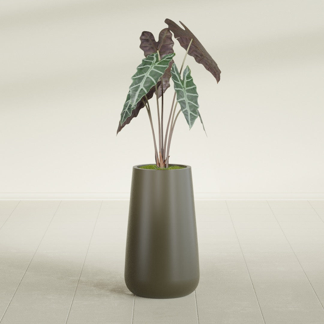 Saigon Tapered Round fiberglass planter in Matte Bronze, shown planted, in a sunlit interior