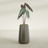 Saigon Tapered Round fiberglass planter in Matte Bronze, shown planted, in a sunlit interior