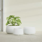 Short Hayden Bowl fiberglass planter in Matte Bright White, size range, in a sunlit interior