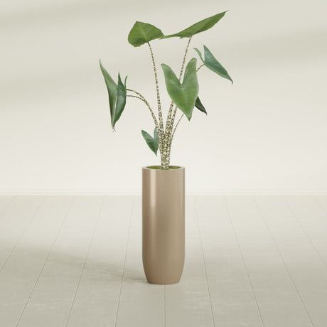 Saint Tropez Bullet Round fiberglass planter in Gloss Metallic Gold, shown planted, in a sunlit interior