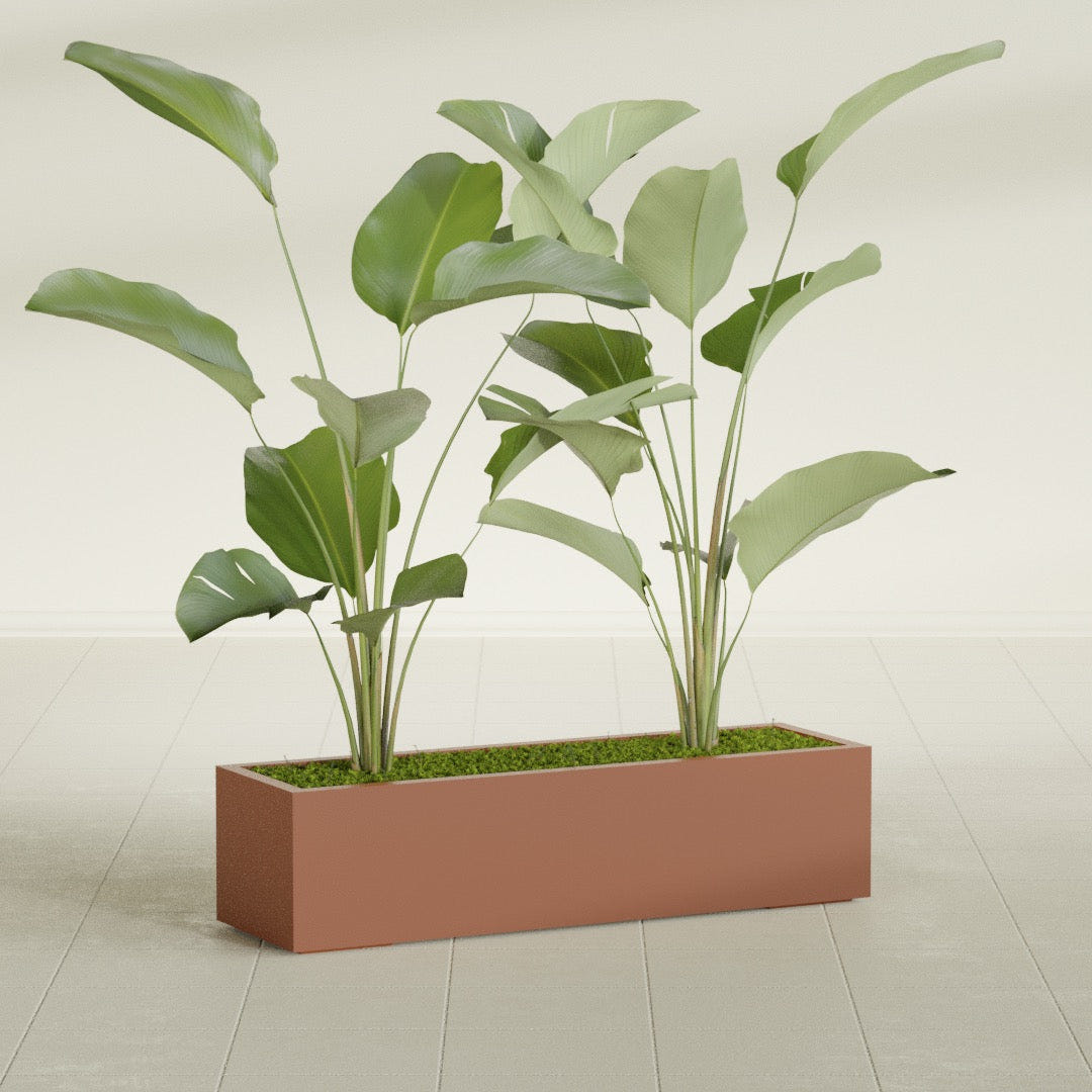 Cuba Low Rectangular fiberglass planter in Matte Terra Cotta, shown planted, in a sunlit interior