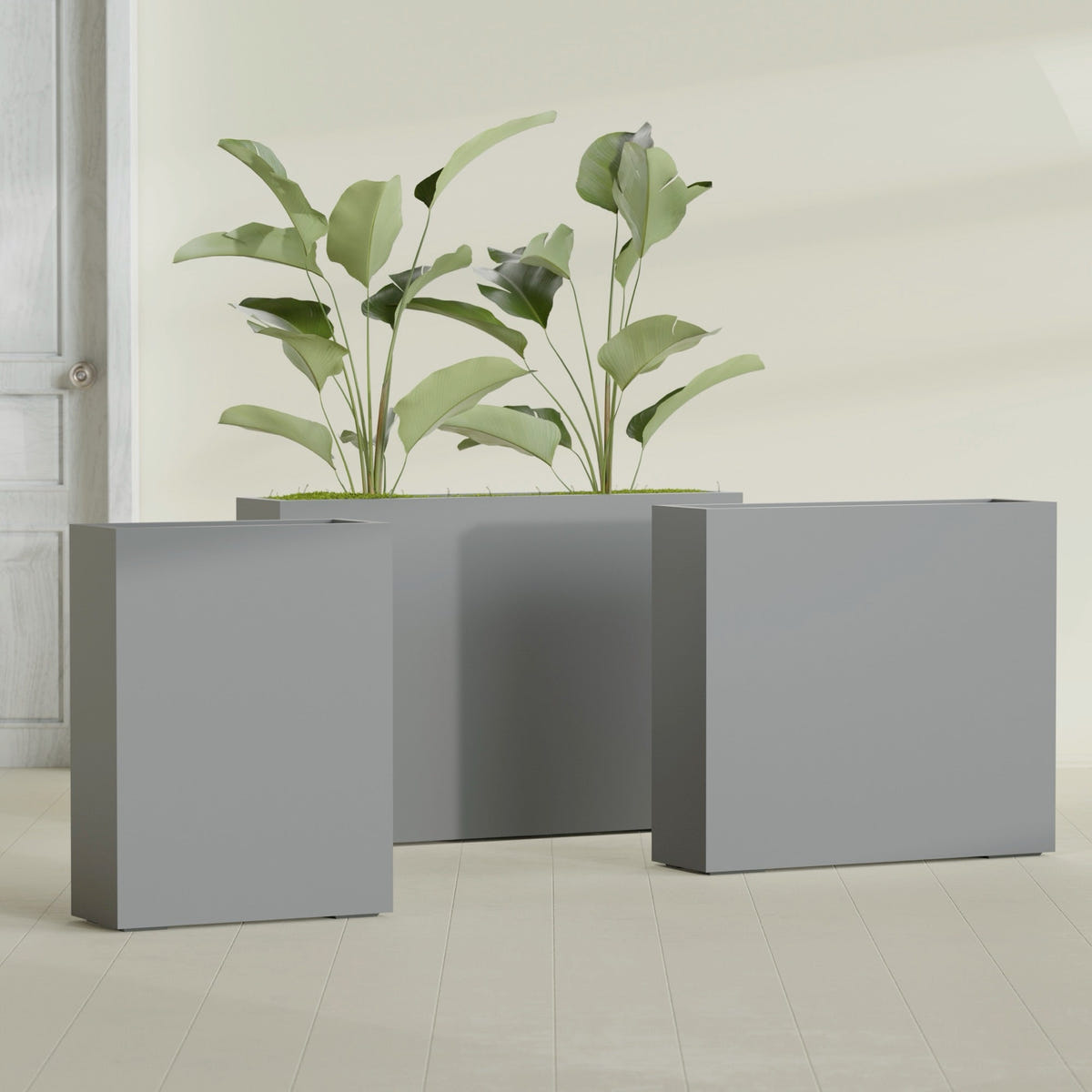 Amesbury Narrow Rectangular fiberglass planter in Matte Gunmetal, size range, in a sunlit interior
