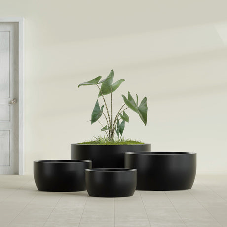 Casablanca Bowl fiberglass planter in Matte Black, size range, in a sunlit interior