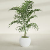 Shanghai Fishbowl fiberglass planter in Matte Bright White, shown planted, in a sunlit interior