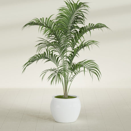 Shanghai Fishbowl fiberglass planter in Matte Bright White, shown planted, in a sunlit interior