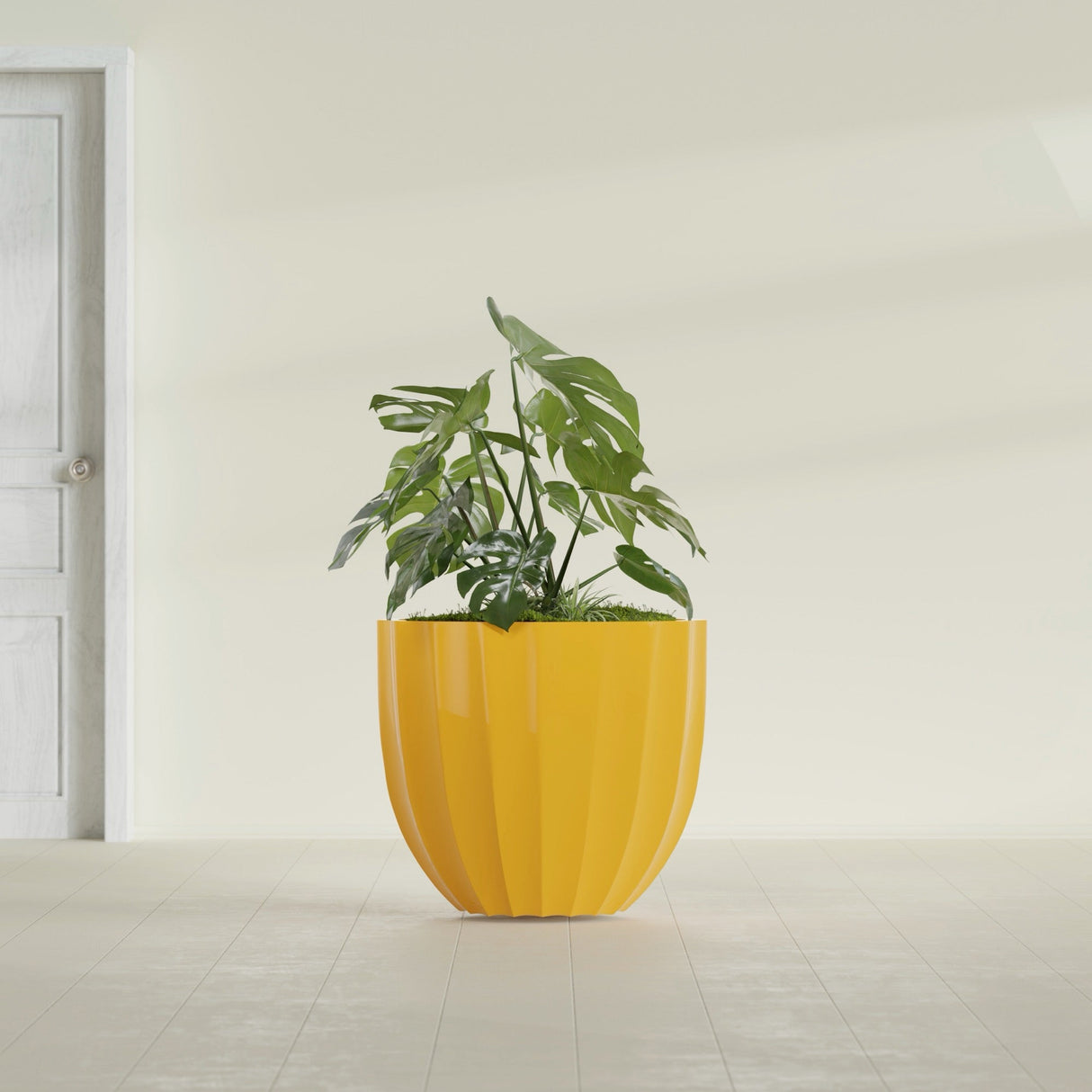 Santa Barbara Fluted Round fiberglass planter in Gloss Saffron, shown planted, in a sunlit interior