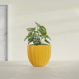 Santa Barbara Fluted Round fiberglass planter in Gloss Saffron, shown planted, in a sunlit interior