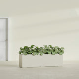 Hudson Extra Long fiberglass planter in Satin Beige, shown planted, in a sunlit interior