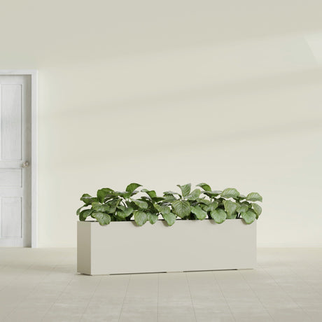 Hudson Extra Long fiberglass planter in Satin Beige, shown planted, in a sunlit interior
