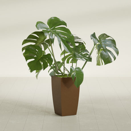 Toulan Tapered Square fiberglass planter in Metallic Bronze, shown planted, in a sunlit interior