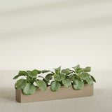 Salon Box fiberglass planter in Gloss Metallic Gold, shown planted, in a sunlit interior