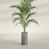 Corry Cylinder fiberglass planter in Matte Gunmetal, shown planted, in a sunlit interior