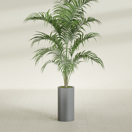 Corry Cylinder fiberglass planter in Matte Gunmetal, shown planted, in a sunlit interior