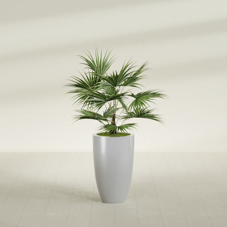 Brannan Tapered Round fiberglass planter in Metallic Silver, shown planted, in a sunlit interior