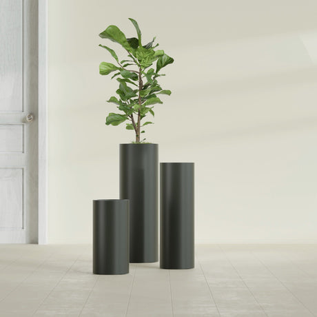 Corry Cylinder fiberglass planter in Matte Charcoal, size range, in a sunlit interior