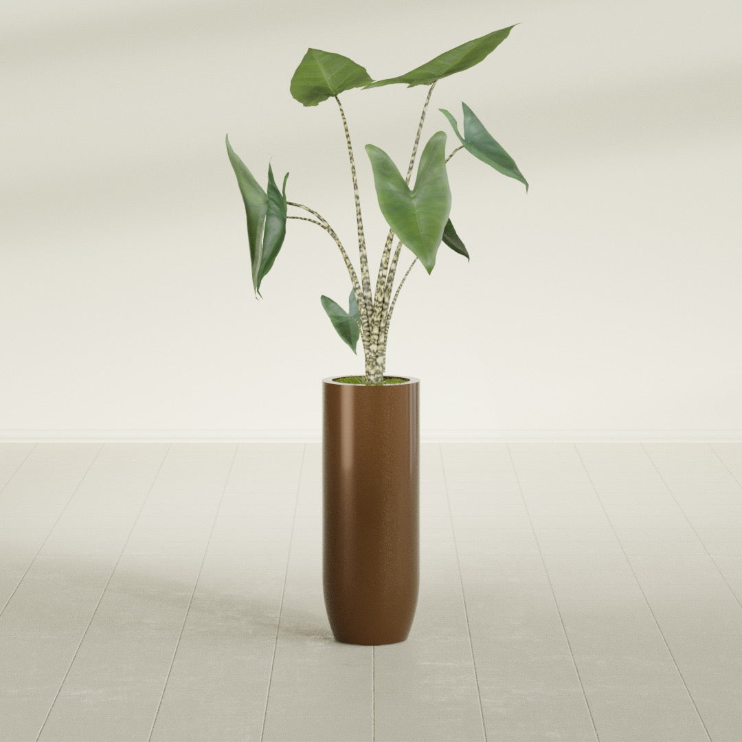 Saint Tropez Bullet Round fiberglass planter in Metallic Bronze, shown planted, in a sunlit interior