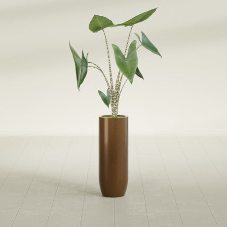 Saint Tropez Bullet Round fiberglass planter in Metallic Bronze, shown planted, in a sunlit interior