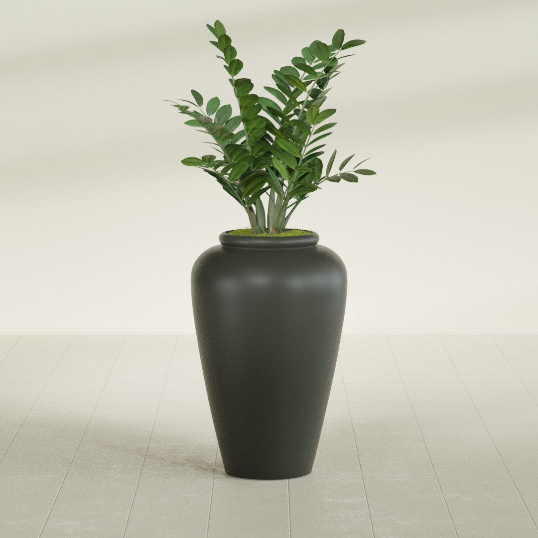 Barà Jar fiberglass planter in Matte Charcoal, shown planted, in a sunlit interior