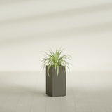 Hollywood Narrow Rectangular fiberglass planter in Matte Bronze, shown planted, in a sunlit interior