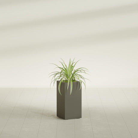 Hollywood Narrow Rectangular fiberglass planter in Matte Bronze, shown planted, in a sunlit interior